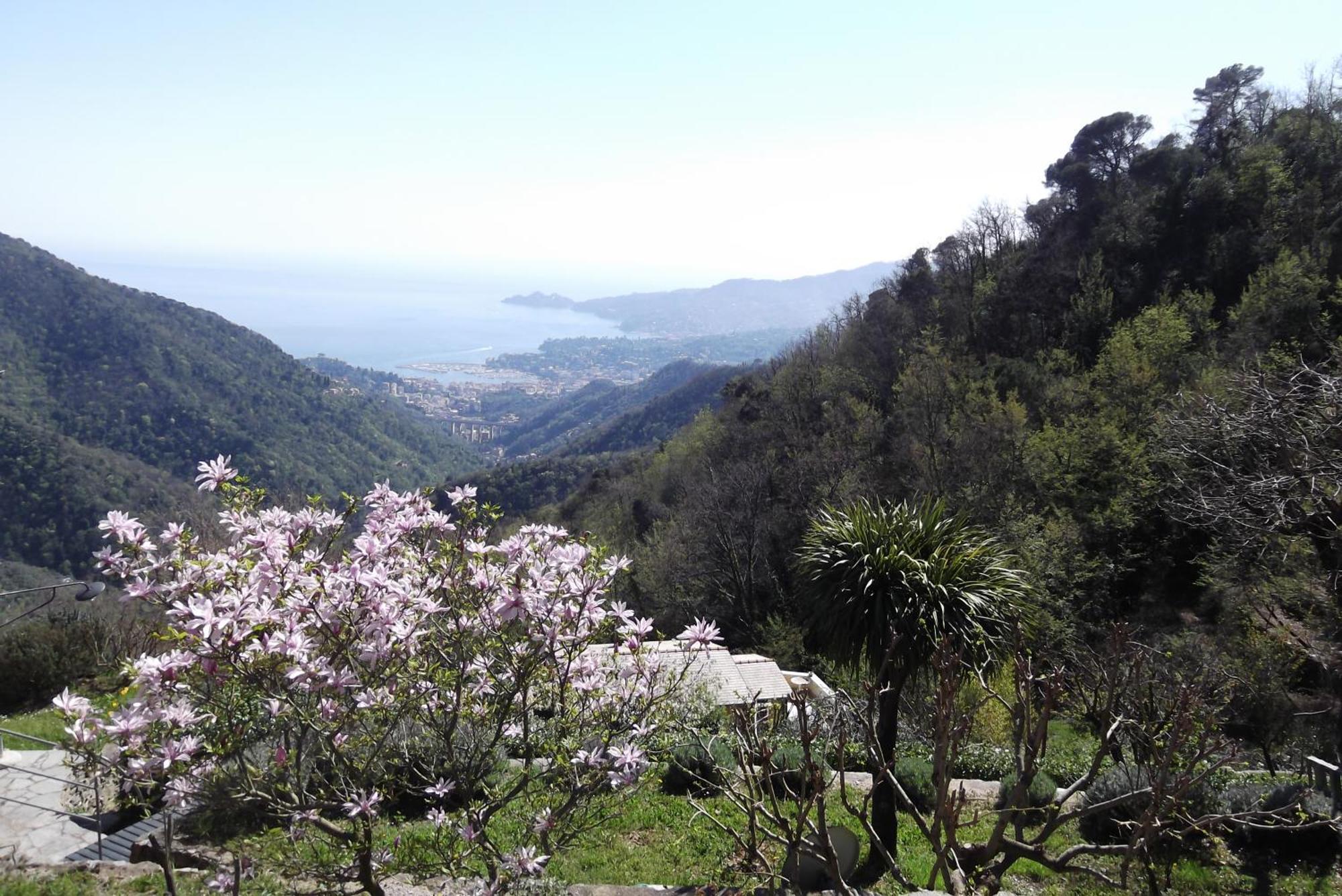 Vista Portofino Daire Rapallo Dış mekan fotoğraf