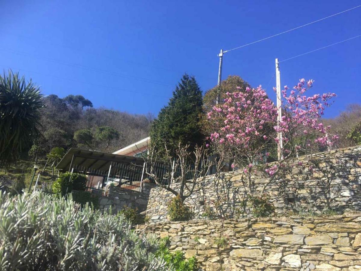 Vista Portofino Daire Rapallo Dış mekan fotoğraf