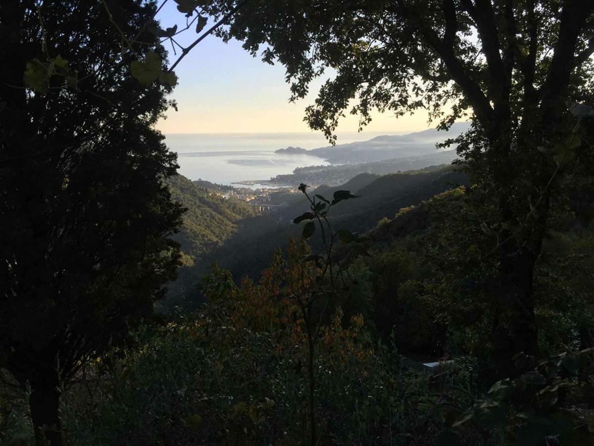 Vista Portofino Daire Rapallo Dış mekan fotoğraf