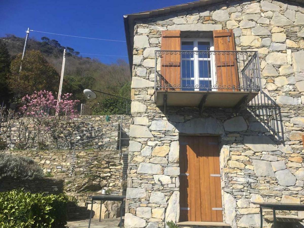 Vista Portofino Daire Rapallo Dış mekan fotoğraf